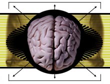 cnn_brain.jpg (10467 bytes)
