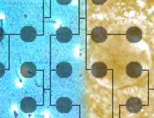 cnn_fertility.jpg (6283 bytes)